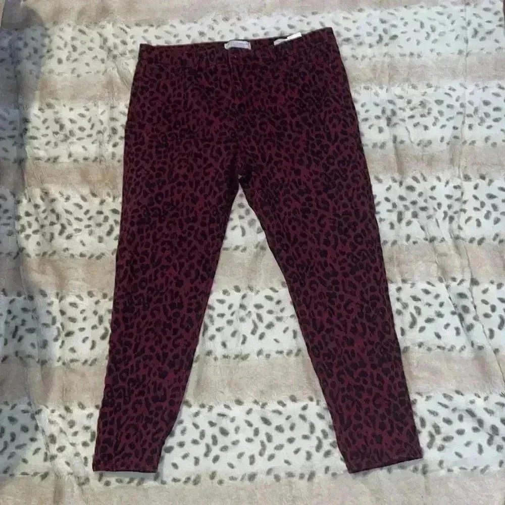 Social Standards by Sanctuary Jeans